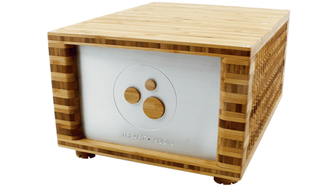 B-Series 60 Watt-S Amplifier - Art Noise