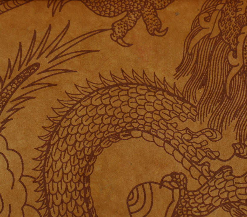 Tibetan Paper & Handicraft - Himalayan Lokta paper - Dragon print - 20x30" - Art Noise
