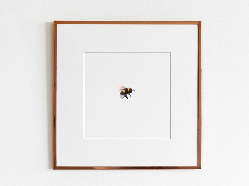 ElizabethAnnFrancis - Bumblebee 11 Print