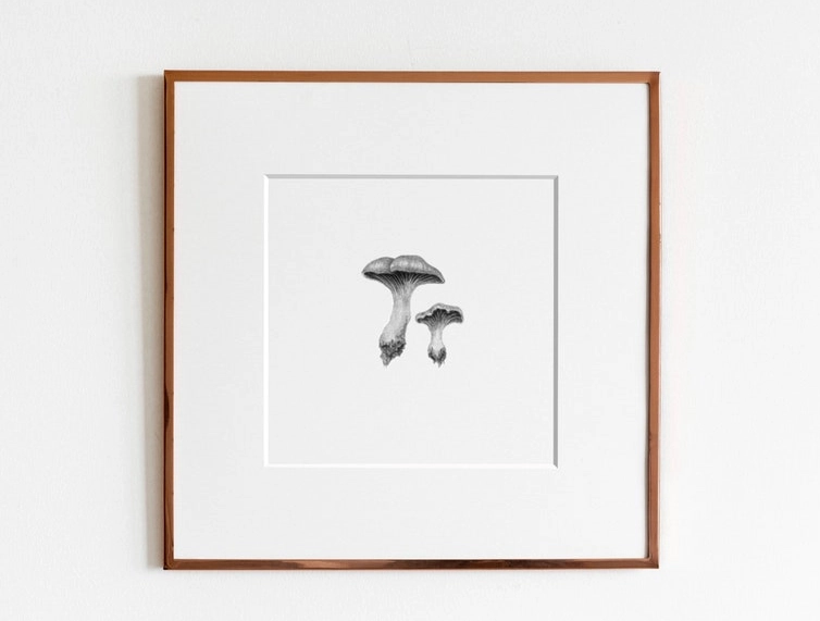 ElizabethAnnFrancis - Chanterelle Mushrooms Print - Art Noise