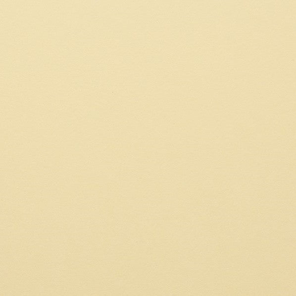 Clairefontaine - Maya Cardstock 120lb Paper - 8¼x11¾" - Art Noise