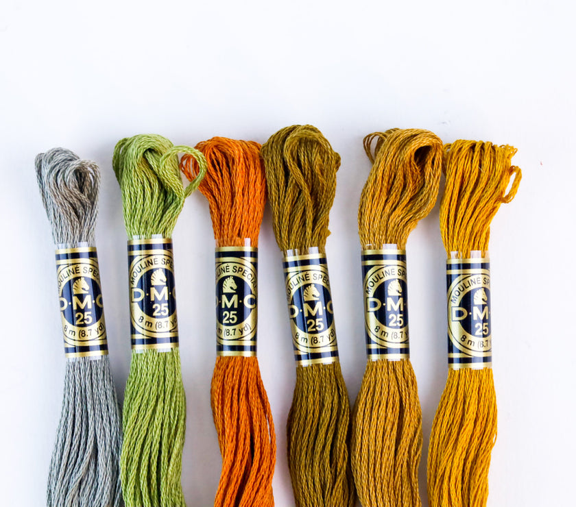 DMC Cotton Embroidery Floss - Dark Earth Tones - Art Noise