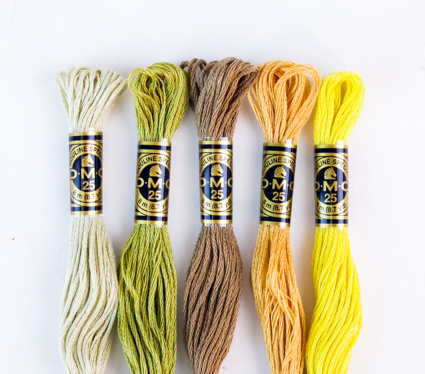 DMC Cotton Embroidery Floss - Light Earth Tones - Art Noise