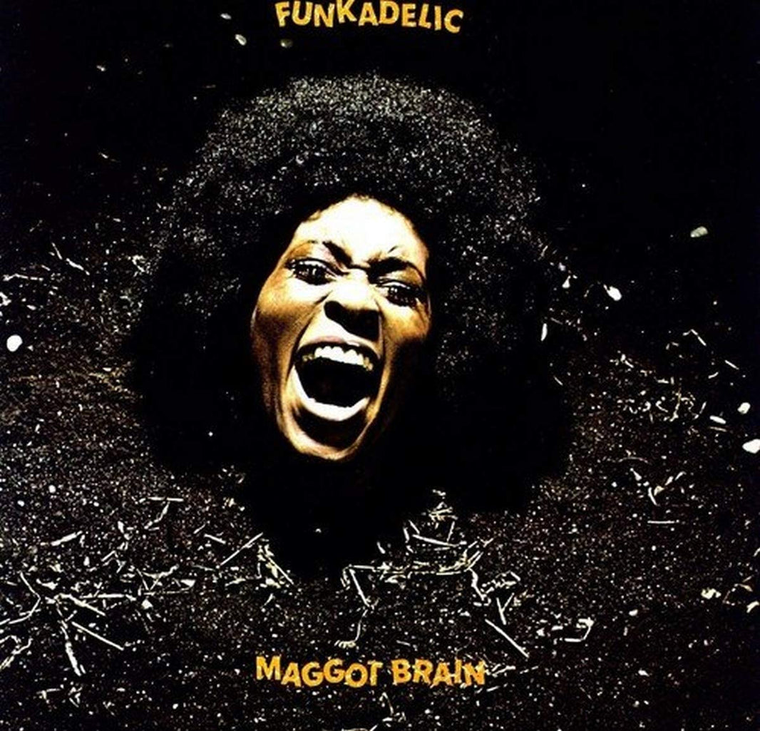 Funkadelic - Maggot Brain (LP) - Art Noise