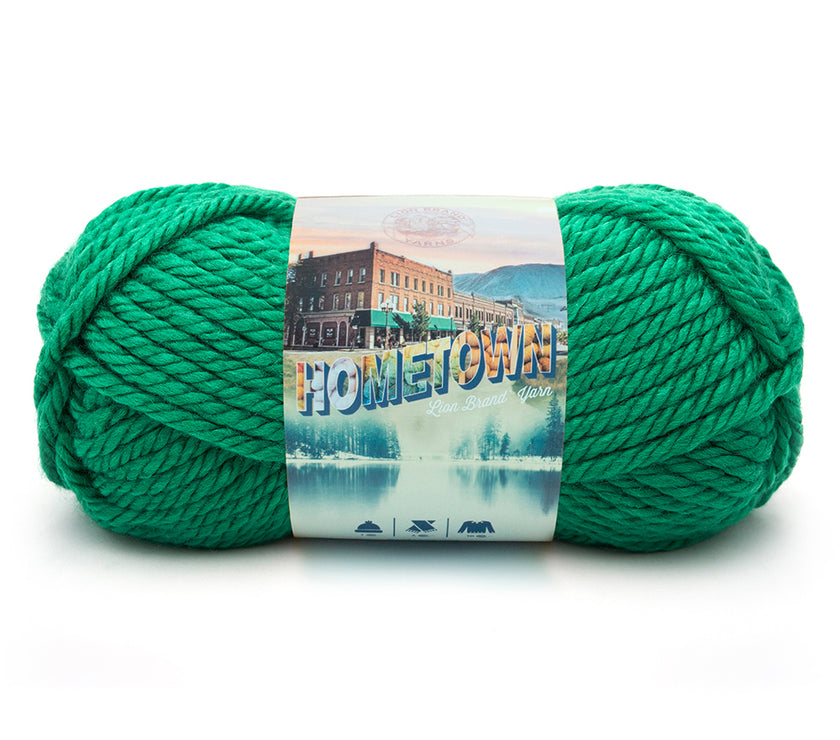 Lion - Hometown Yarn - 142g - Super Bulky 6 - 74m (81yds) - Green Bay - Art Noise
