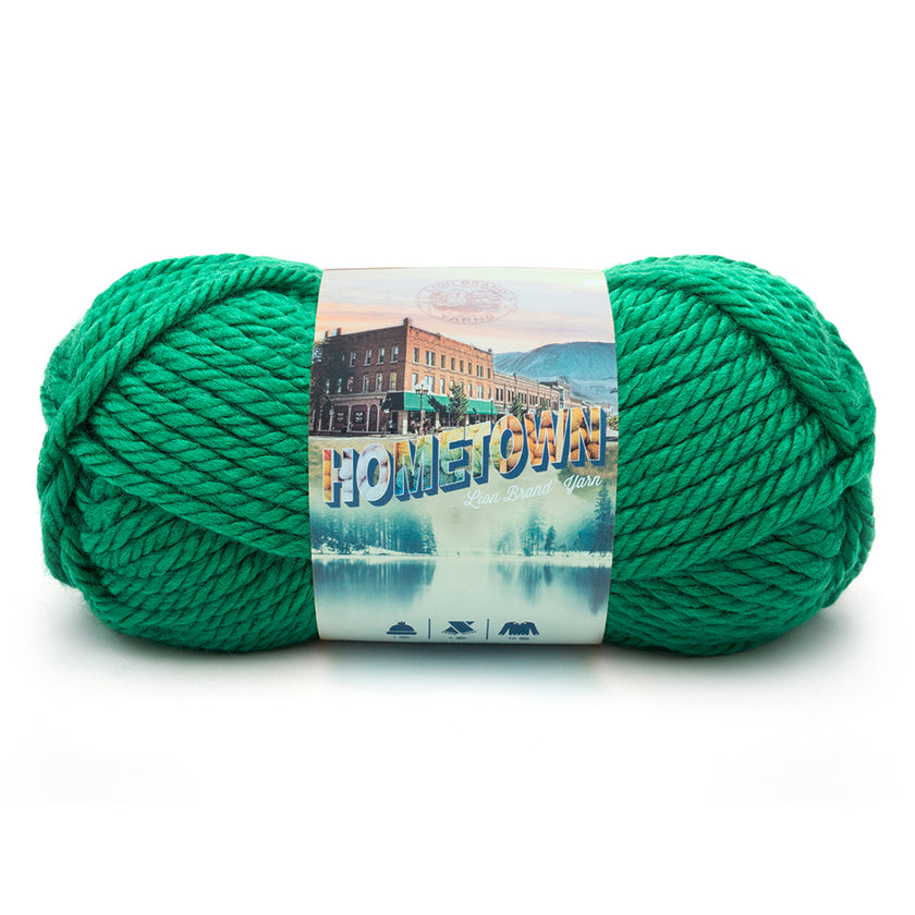 Lion - Hometown Yarn - 142g - Super Bulky 6 - 74m (81yds) - Green Bay - Art Noise