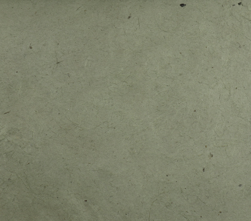 Tibetan Paper & Handicraft - Himalayan Lokta Paper - Vegetable Solid - 20x30" - Art Noise
