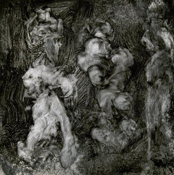 Mark Lanegan & Duke Garwood - With Animals (LP) - Art Noise