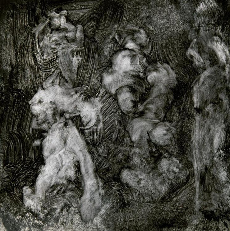 Mark Lanegan & Duke Garwood - With Animals (LP) - Art Noise