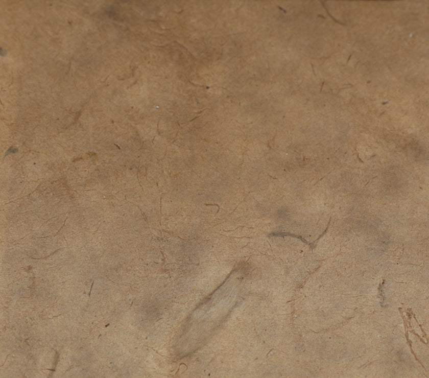 Tibetan Paper & Handicraft - Himalayan Lokta Paper - Vegetable Solid - 20x30" - Art Noise