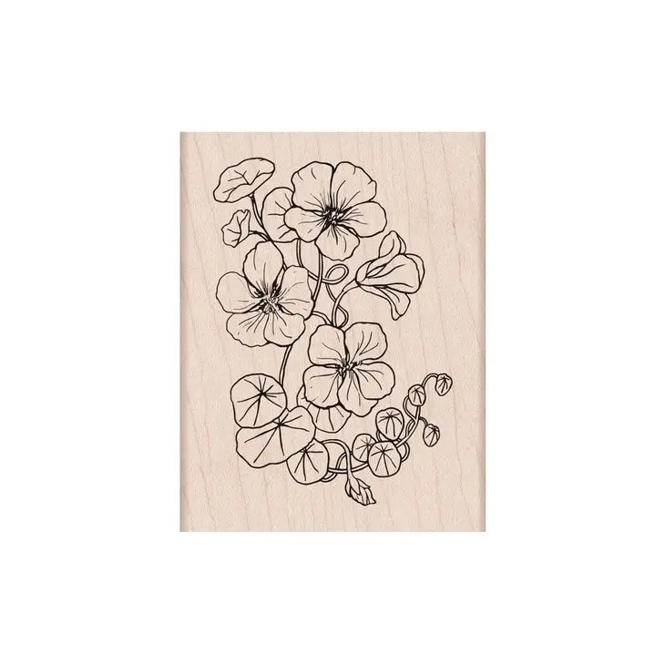 Hero Arts - Flowering Nasturtium Handmade Rubber Stamp - Art Noise