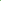 Enkaustikos - Opal Calypso Green - Art Noise