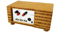 P-Series 35 watt Integrated amp (USA,Can) - Art Noise