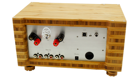 P-Series 35 watt Receiver (USA Can) - Art Noise