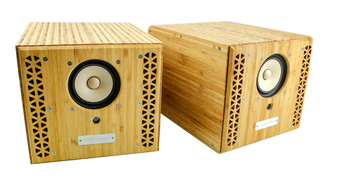 P-Series Mini Monitor (pair) - Art Noise