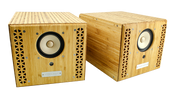P-Series Mini Monitor (pair) - Art Noise P-Series Mini Monitor (pair) Triart product_type art-noise.myshopify.com p-series-mini-monitor-pair