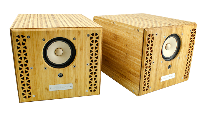 P-Series Mini Monitor (pair) - Art Noise P-Series Mini Monitor (pair) Triart product_type art-noise.myshopify.com p-series-mini-monitor-pair