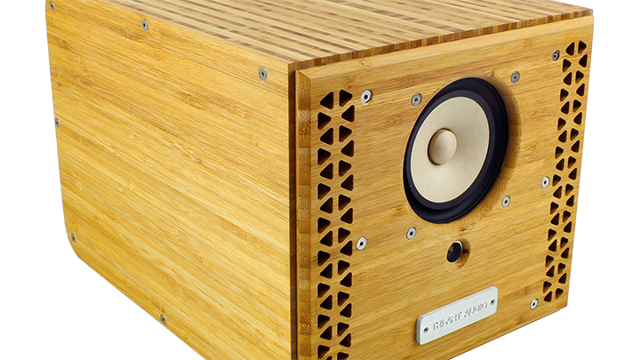 P-Series Mini Monitor (pair) - Art Noise P-Series Mini Monitor (pair) Triart product_type art-noise.myshopify.com p-series-mini-monitor-pair