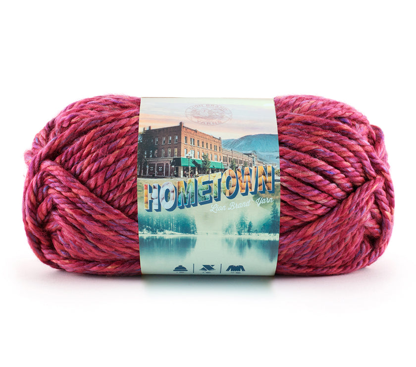 Lion - Hometown Yarn - 113g - Super Bulky 6 - 59m (64yds) - Phoenix Azalea - Art Noise