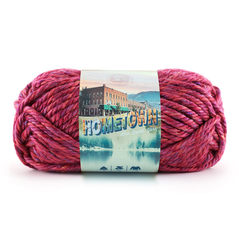 Lion - Hometown Yarn - 113g - Super Bulky 6 - 59m (64yds) - Phoenix Azalea - Art Noise