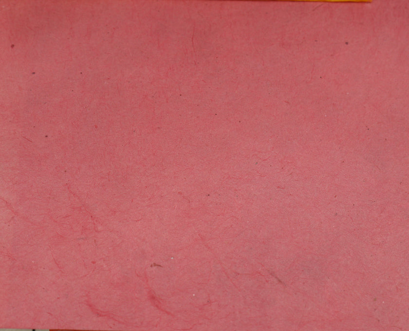 Tibetan Paper & Handicraft - Himalayan Lokta Paper - Vegetable Solid - 20x30" - Art Noise
