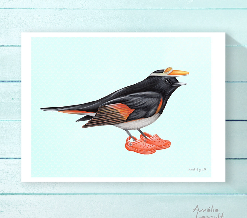 Amélie Legault - American Redstart with Crocs Print - Art Noise