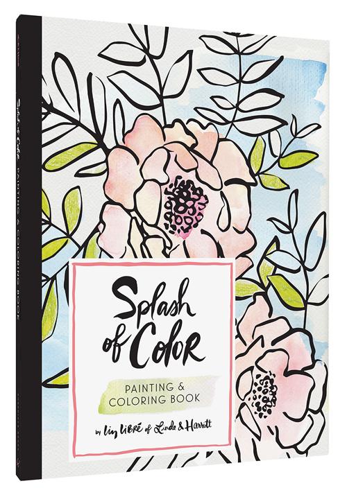 Chronicle Books - Splash of Color Painting & Coloring Book - Art Noise
