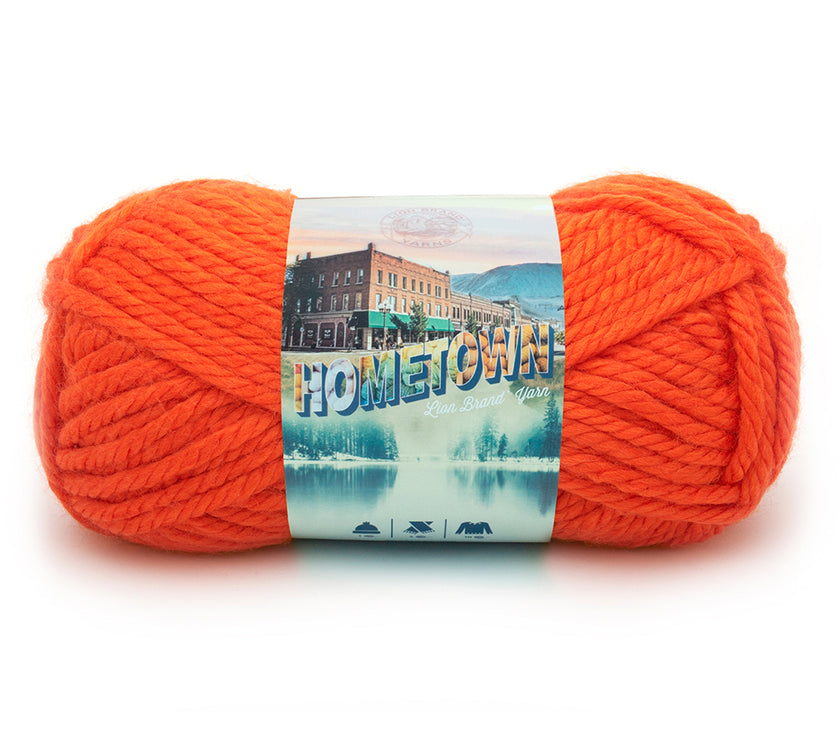 Lion - Hometown Yarn - 142g - Super Bulky 6 - 74m (81yds) - Syracuse Orange - Art Noise