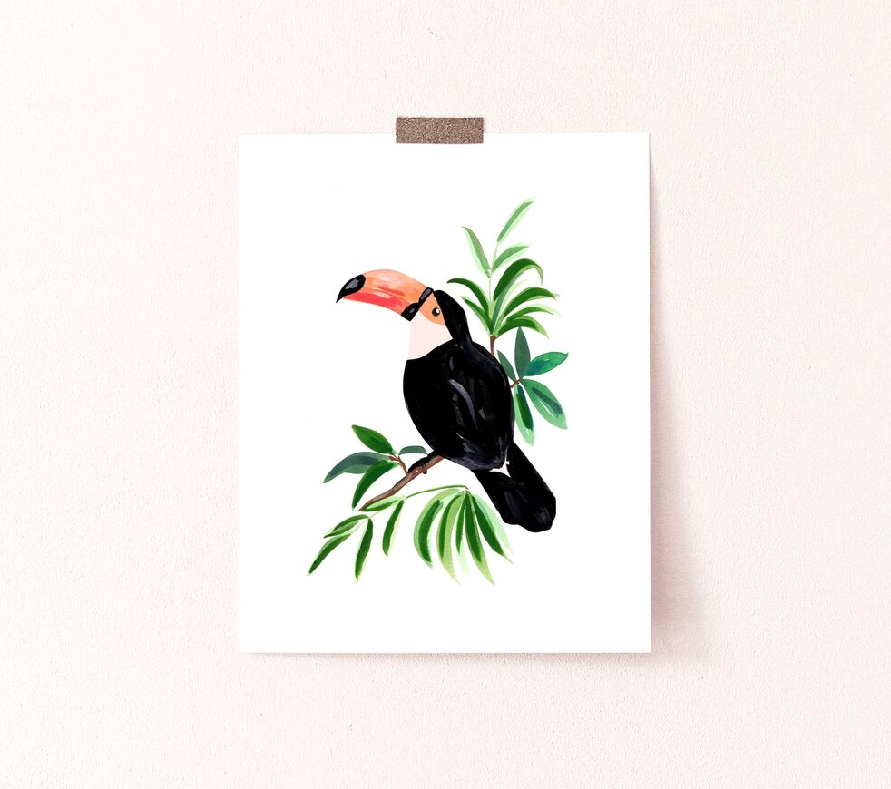 Sabina Fenn - Toucan Art Print - Art Noise