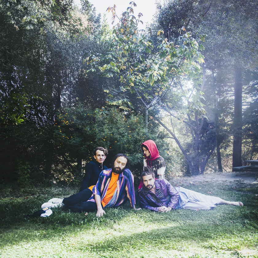 Big Thief - U.F.O.F. (LP) - Art Noise