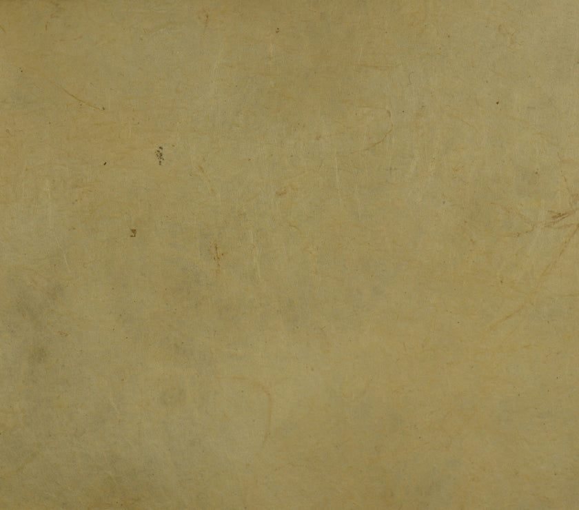 Tibetan Paper & Handicraft - Himalayan Lokta Paper - Vegetable Solid - 20x30" - Art Noise