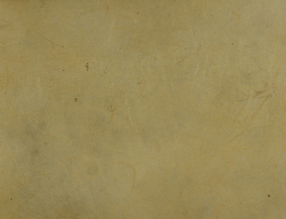 Tibetan Paper & Handicraft - Himalayan Lokta Paper - Vegetable Solid - 20x30" - Art Noise