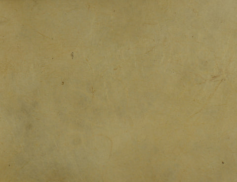 Tibetan Paper & Handicraft - Himalayan Lokta Paper - Vegetable Solid - 20x30" - Art Noise